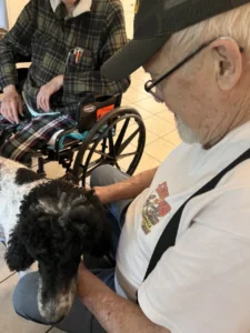 Forest-cottage-senior-care-golden-doodle-therapy-mr-jim-4 Large