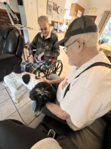 Forest-cottage-senior-care-golden-doodle-therapy-mr-jim-mr-love-5 Large