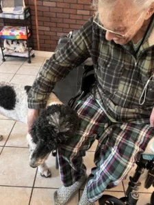 Forest-cottage-senior-care-golden-doodle-therapy-mr-love-6 Large